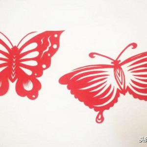 69 中国结艺网 69 剪纸手工 69 窗花 分享的蝴蝶剪纸是不是很