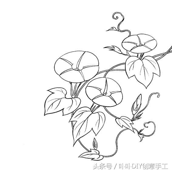 手工刺绣:分享一些刺绣的花样线稿图给大家,种类繁多