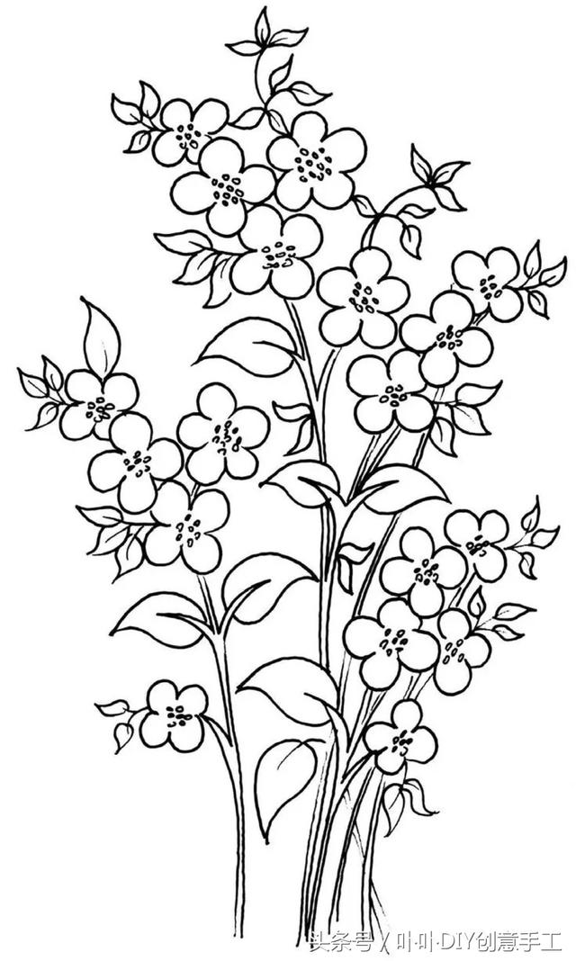 手工刺绣:分享一些刺绣的花样线稿图给大家,种类繁多,可以参考印在绣