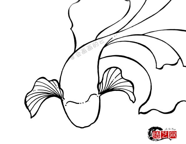 金鱼简笔画步骤图解教程,教您怎么画鱼最简单