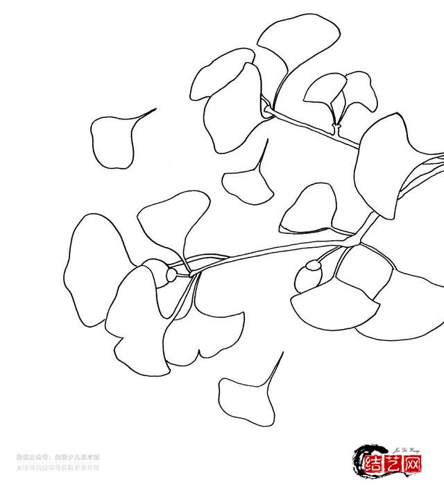 银杏树叶呢可以采用如图所示先分组再填线的方法逐渐用细线条丰富画面