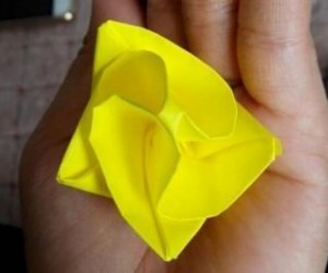 折纸玫瑰花教程分享 教你如何折玫瑰花