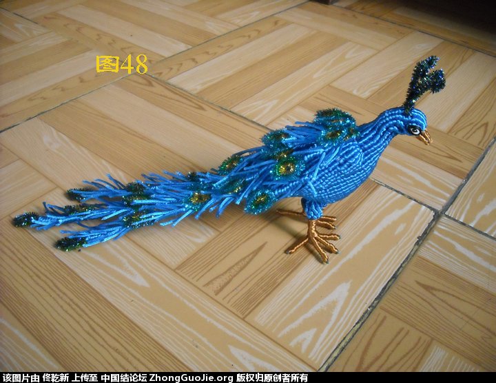 DSCN3448.jpg