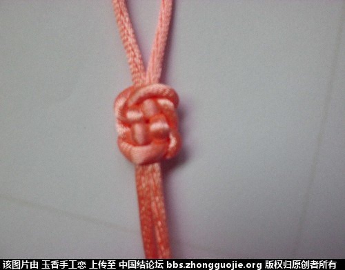 CIMG2866_conew1.jpg
