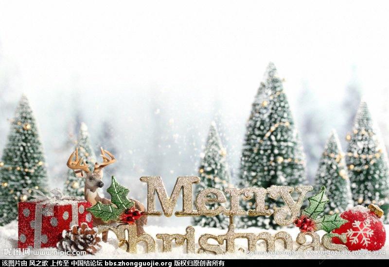 й̳ Merry Christmas Ĭĸ,һĿȻ ̳뽻 2126061b65p1ojpoy32ek2