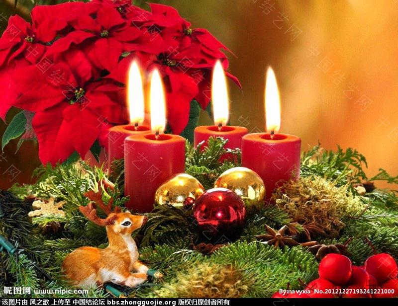 й̳ Christmas Candle ʥ ʥ,ʥڵ,ʥͼƬ,ʥ,ʥʲô ̳뽻 1421182jwwxqjoxok9fo4b