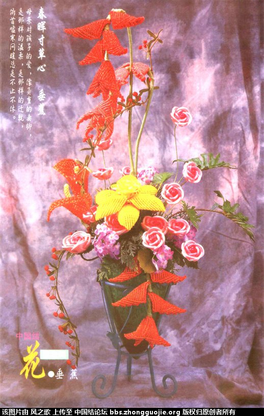 й̳ Heliconiaceae սơ ̫ƽ,ֲ,˽,, ̳뽻 100810u9lr9bh9rxuuq8qk