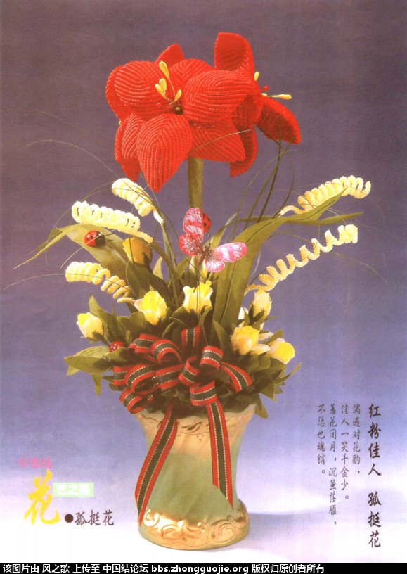 й̳ Hippeastrum 춥  ̳뽻 170848q1ssr6tlzsl966ut