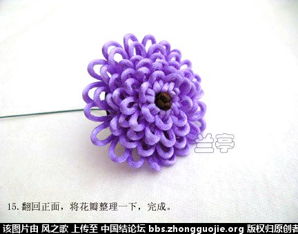 й̳ Chrysanthemum  °,͹,Ԩ,׾, ̳뽻 150405y74qlh49cchxhuyx