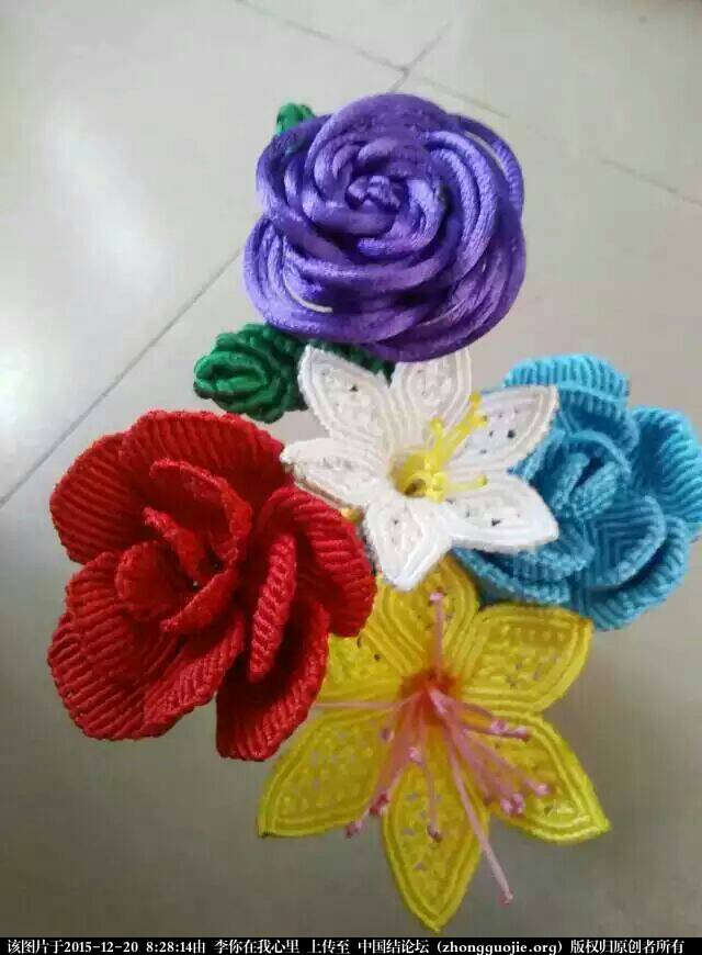 й̳  ʻͼƬ,ȫ,,Ưʮֻ,ͼƬ Ʒչʾ 082814tci7hzlc222544tl