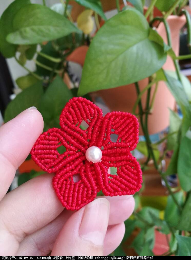 五瓣花