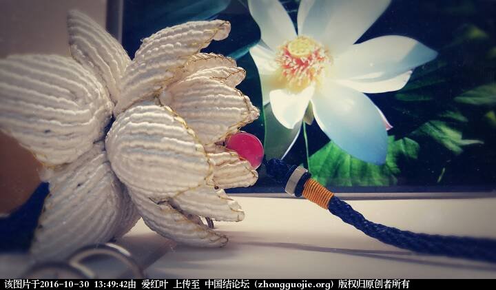 й̳ й ֹ֯ϸ̳,бɻ෨ͼ,ֱ෨ͼ Ʒչʾ 134942v788f858yybyqhkb