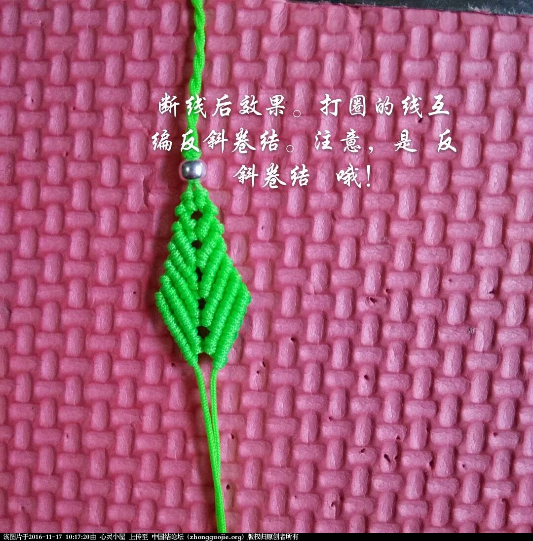 й̳   ͼĽ̳ 101719r8spc5ecpn2npp5g