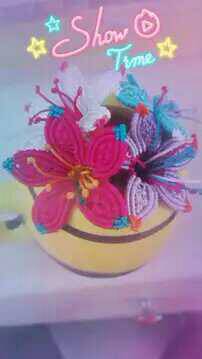 й̳ һʻ ʻ,ʻٵ,ʻ,һƿʻ,ʻ Ʒչʾ 083042dsz2w9svsjsnz2my