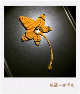 й̳ Ҷ ҶͼƬȫͼƬ,һ÷ҶͼƬ,ڷҶ,Ҷ,Ҷ Ʒչʾ 033547zzpjy1ydyyupzu11