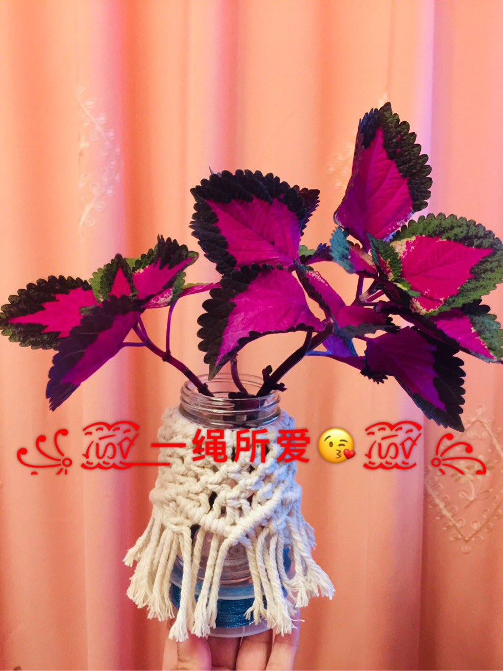 й̳ Macrame  ƿף ˮô,֯ˮ,ˮô֯,ô֯ˮ ̳뽻 211524q2ej40be4706jlge