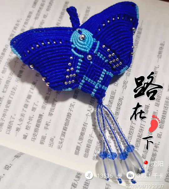 马燕蝴蝶图片