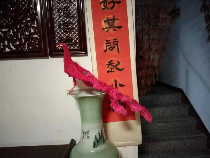 中国结论坛 粉色孔雀  丽姐的教程跟着做的 孔雀,动物 作品展示 195804k7068ophwp09lerx