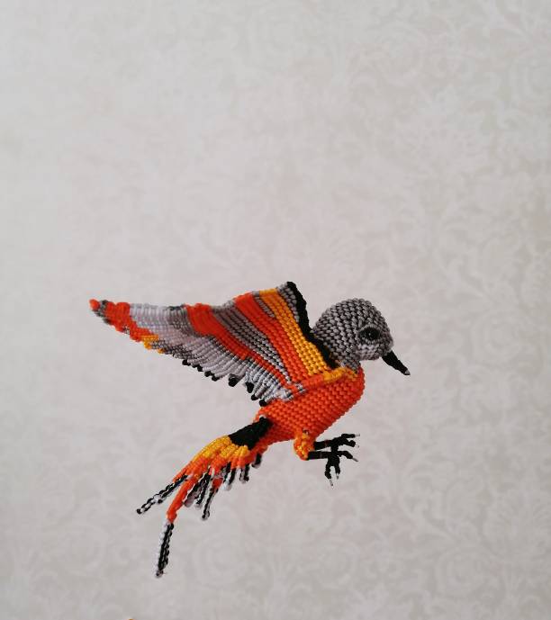 中国结论坛 两只飞翔的鸟儿 鸟儿的梦想,鸟儿比翼飞的视频素材,比翼双飞的乌鸦 作品展示 154503uhlcca5zaat1l5dv