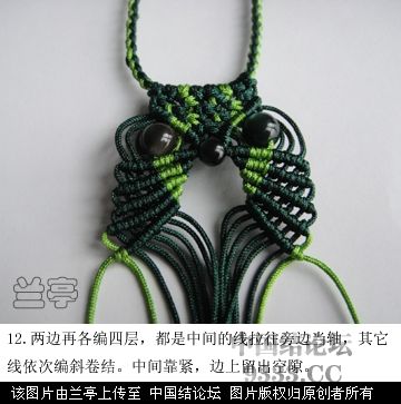 简易猫头鹰,斜卷结,初级