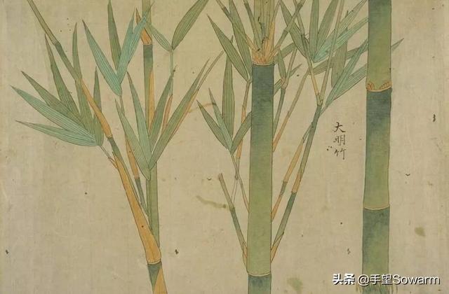竹编工艺：从新石器时代传承至今的传统技艺