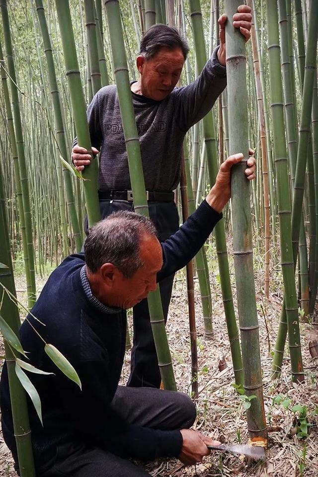 日本竹编与中国竹编有什么不同？洛宁竹编手艺人说：不实用