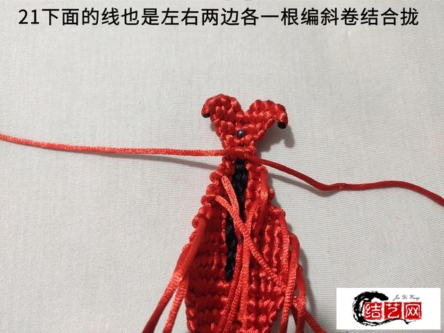只需几根线编织一个龙虾小挂件