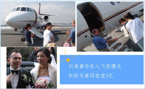 刘涛的飞机,成龙私人飞机(刘涛私人飞机百度百科)