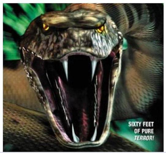 关于蛇的恐怖电影,美国蛇类恐怖片(与蛇有关的恐怖电影)