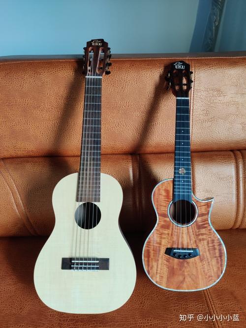 吉他菠萝,古典吉他可可菠萝和马玫(吉他可可菠萝和印度玫瑰木做背侧板谁好)